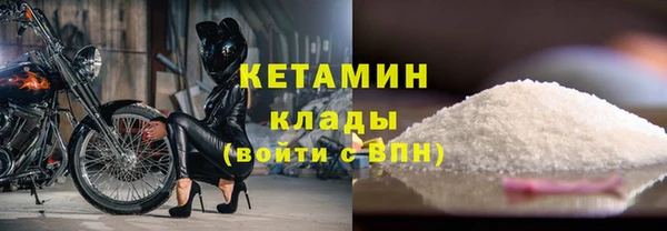 стафф Новодвинск