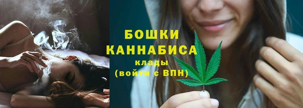 стафф Новодвинск