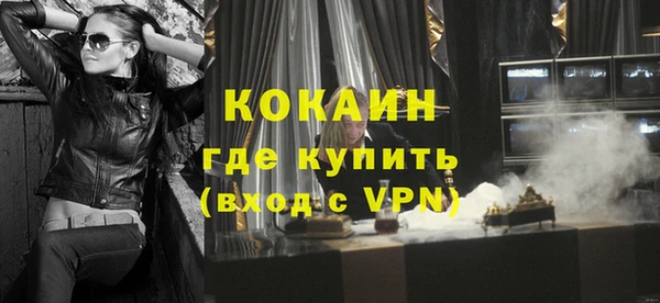 стафф Новодвинск